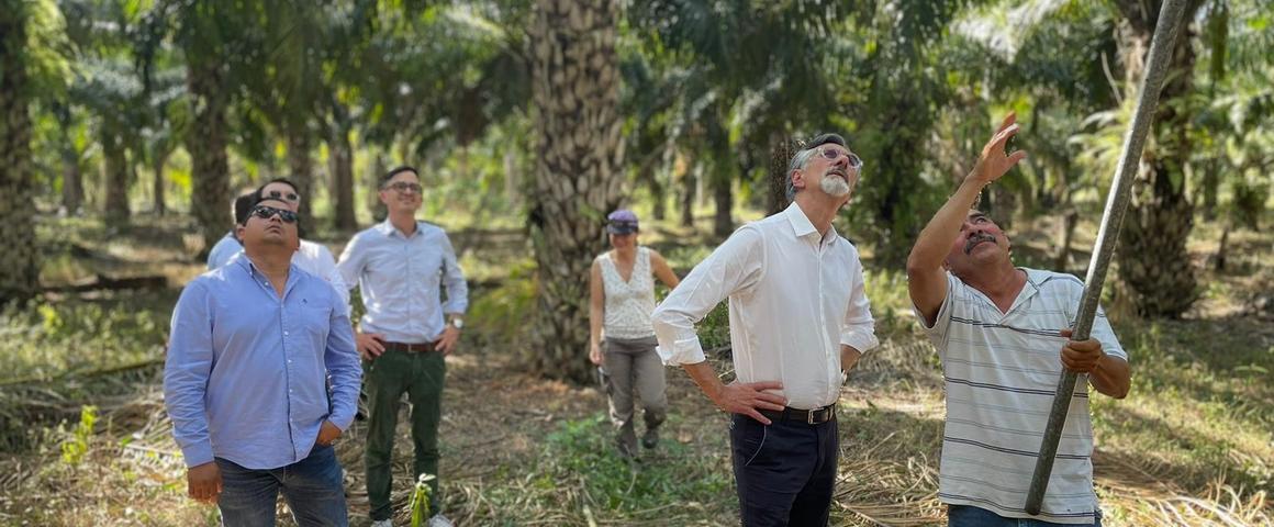 Visite de terrain dans une palmeraie lors du lancement du projet OptiPalMex © DR